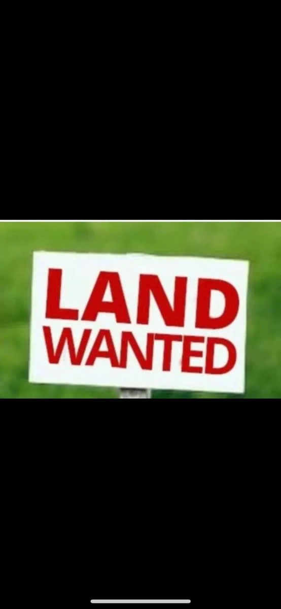 Land in Kildare   (WANTED)