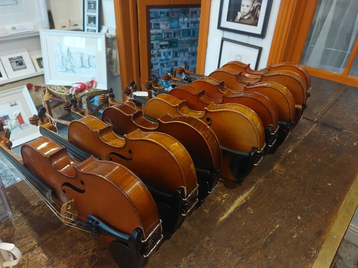 Violins - Image 1