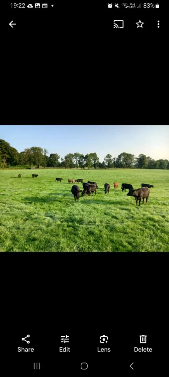 Wanted few acres to rent - Image 1