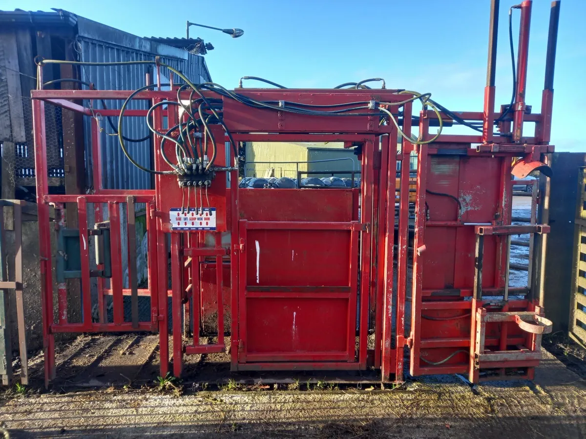 Turn over cattle crates - Image 2