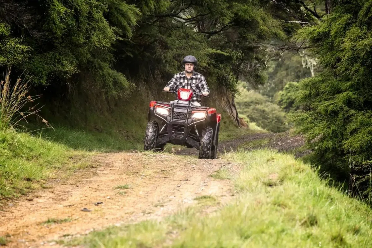 New Honda Quads - Image 3