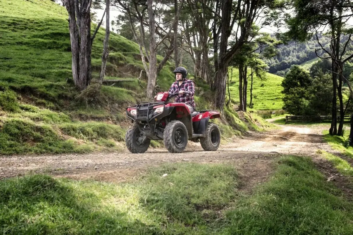 New Honda Quads - Image 4