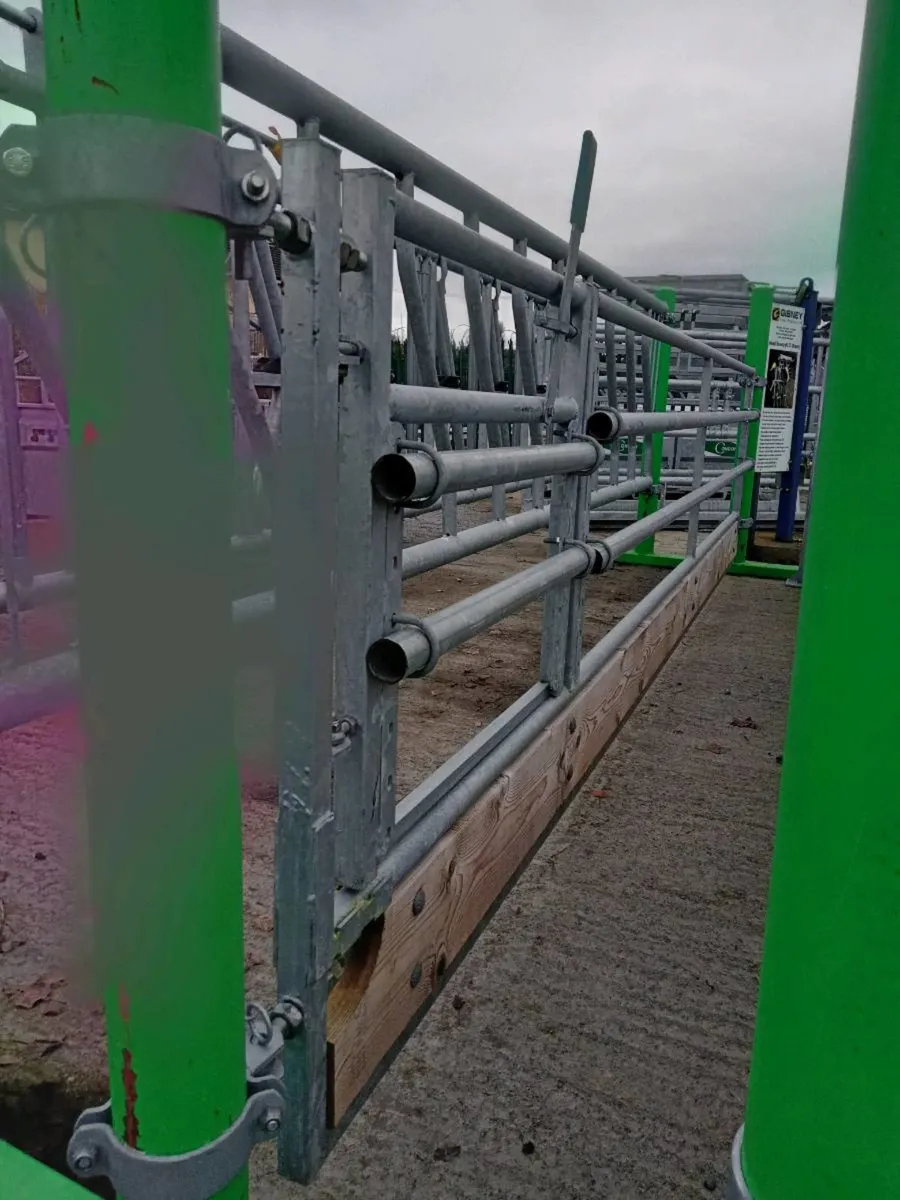 Sheep Feeding Barrier