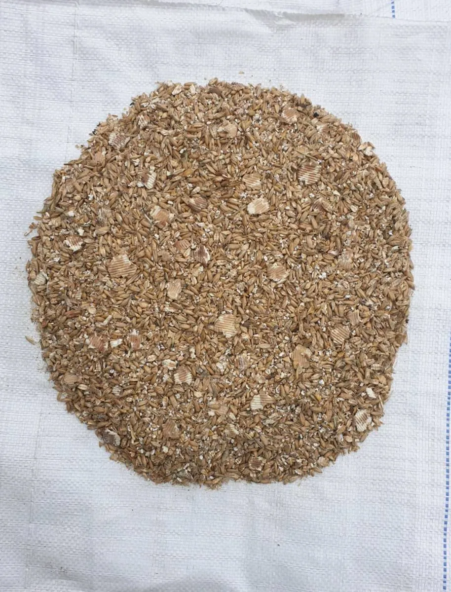 Organic Feed Grains - Image 1