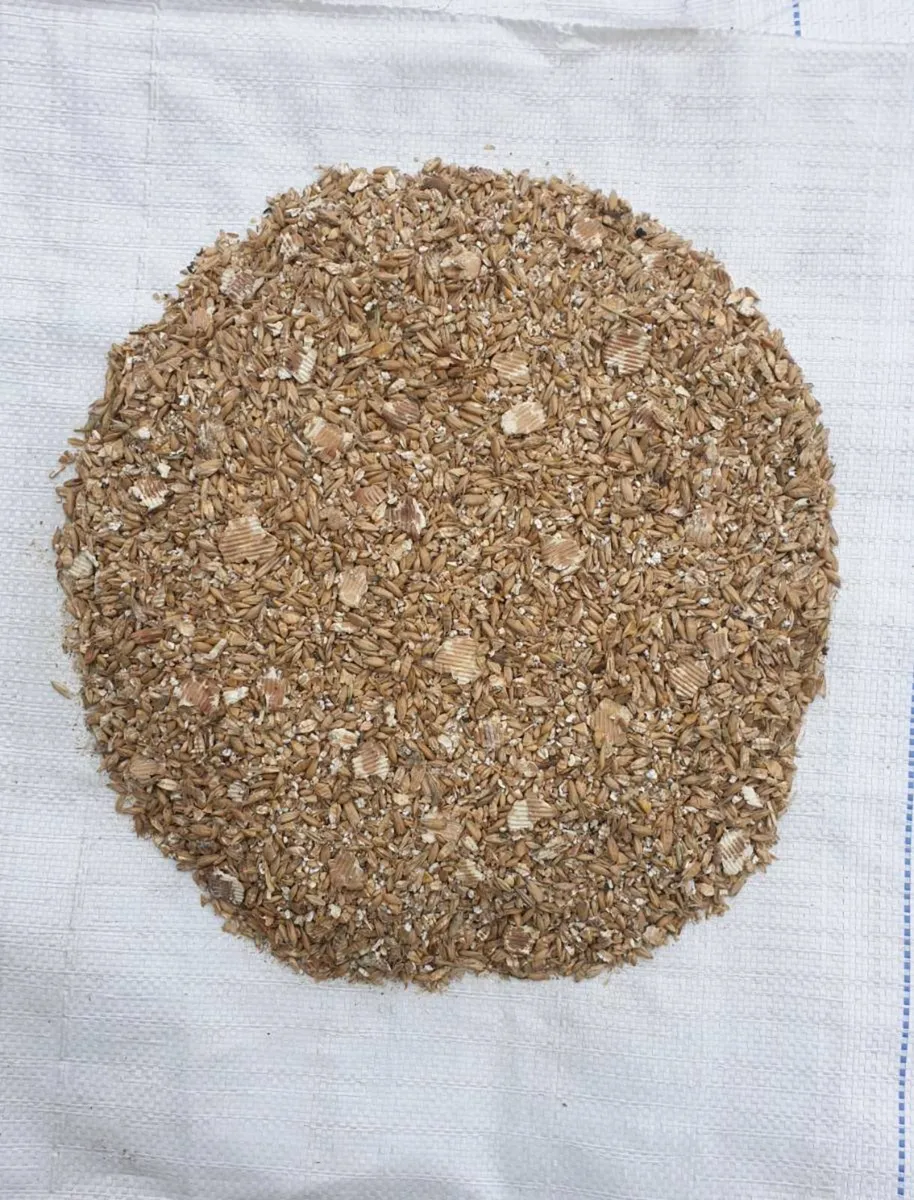 Organic Feed Grains