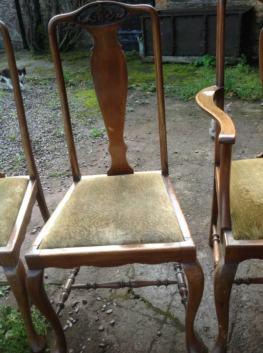 Antique Mahogany Queen Ann Dining chairs X 5 - Image 1