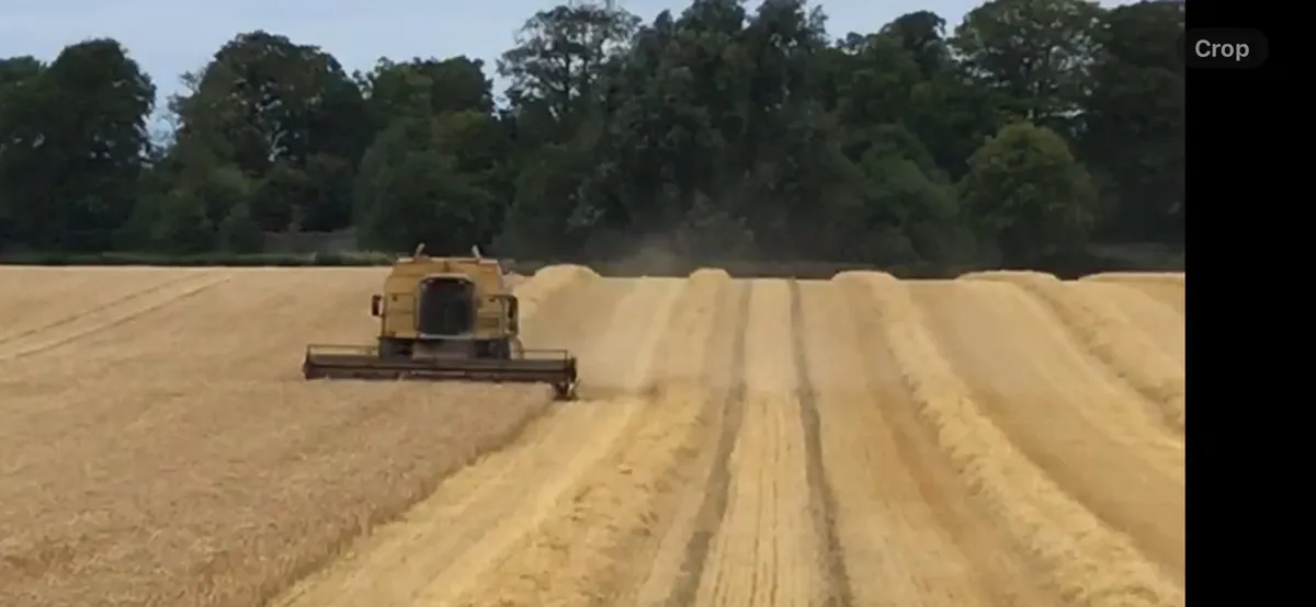 Processed Dust Extracted Straw. - Image 3