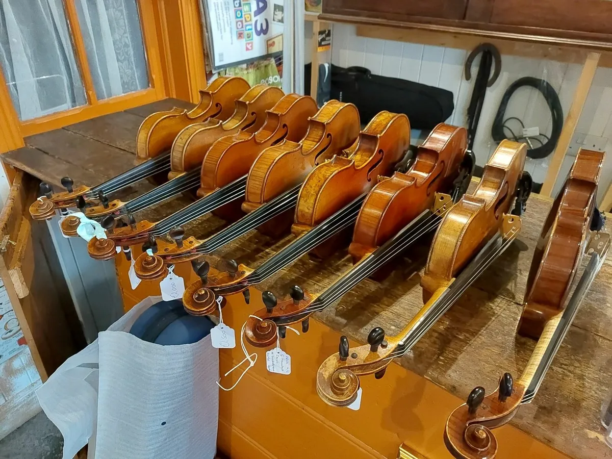 Violins - Image 3