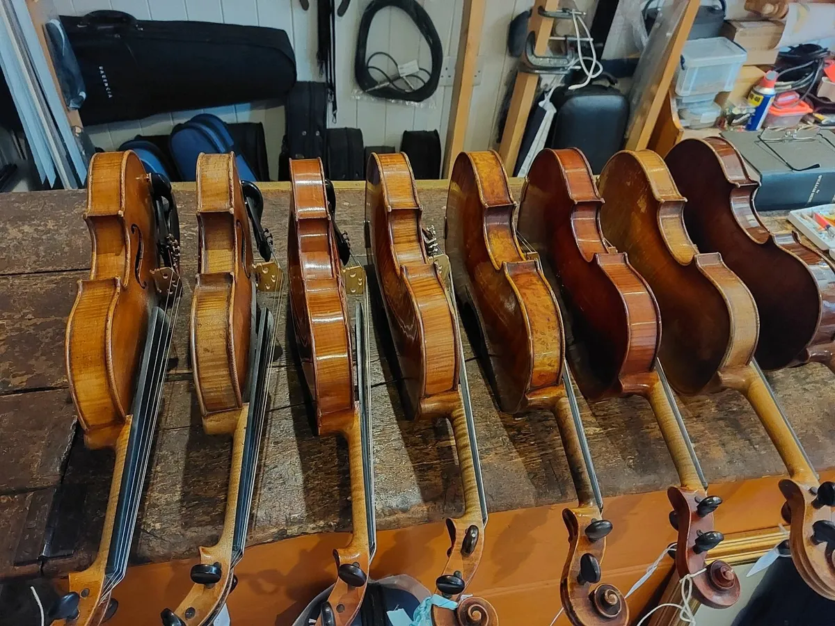 Violins - Image 4