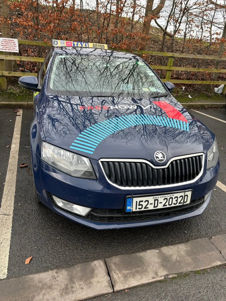 Taxi rental - Image 3