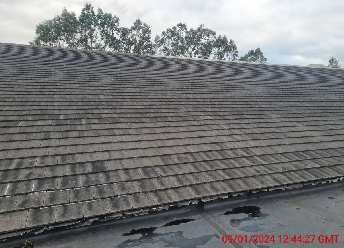 Roof tiles - Image 4