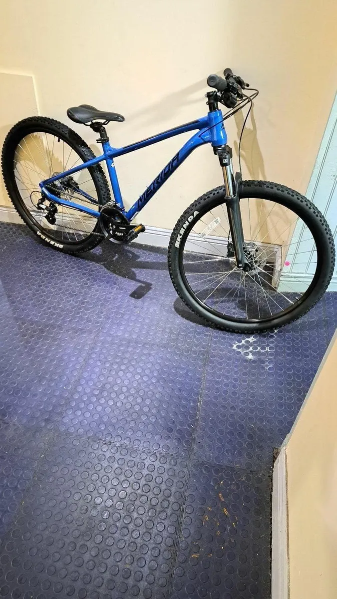 Second hand merida mountain bikes best sale for sale