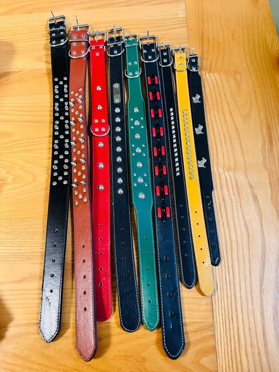 Dog collars - Image 2
