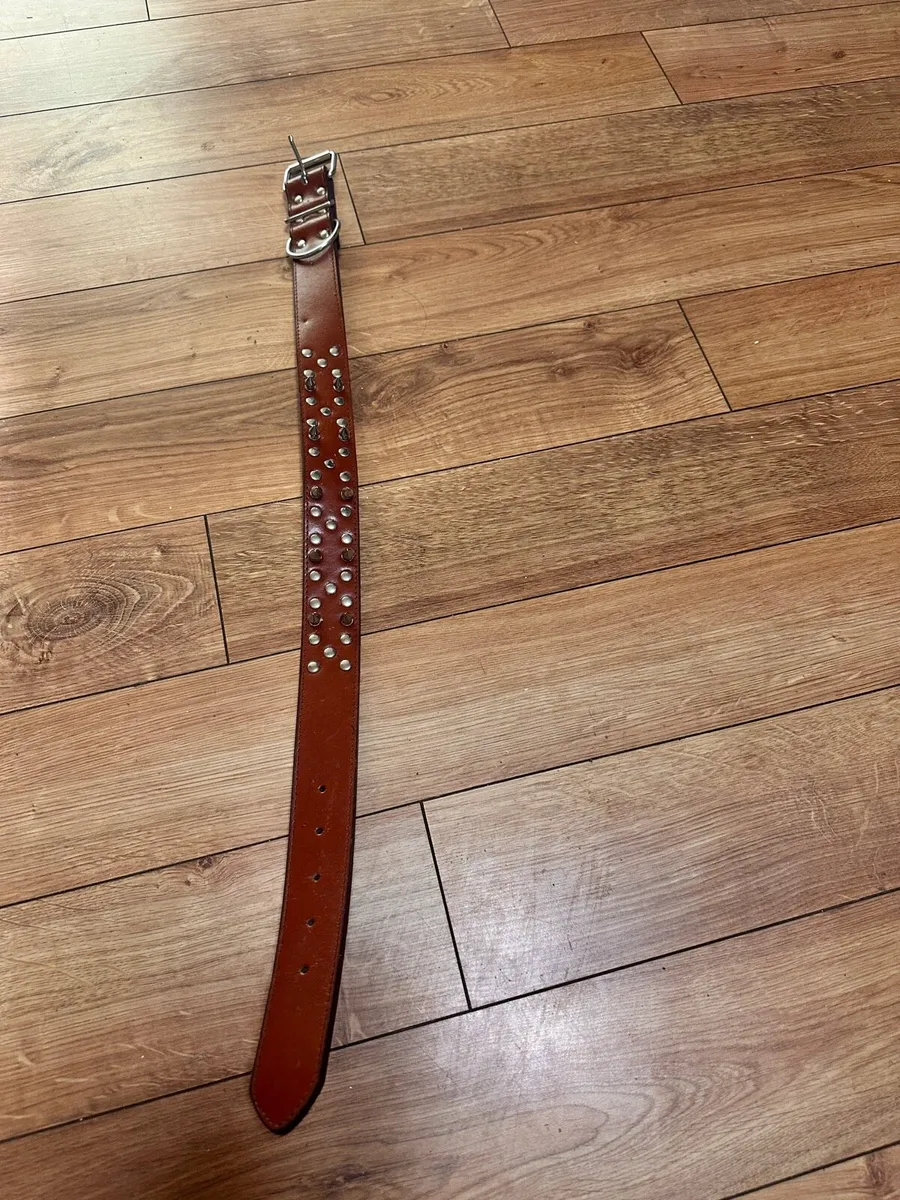 Dog collars - Image 4