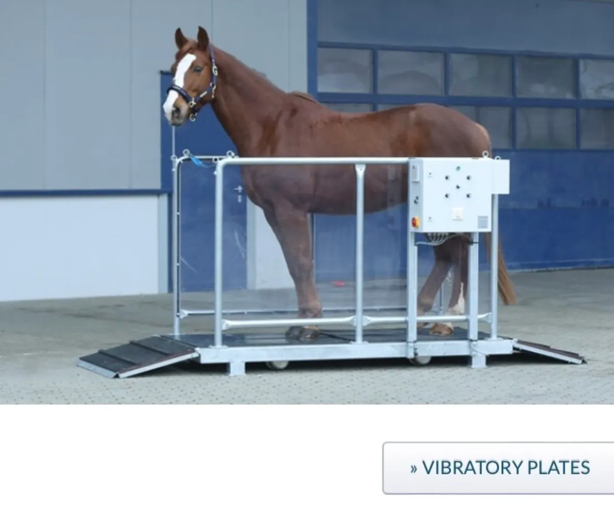 Horse treadmills, Spa, vibratory plates and more - Image 2