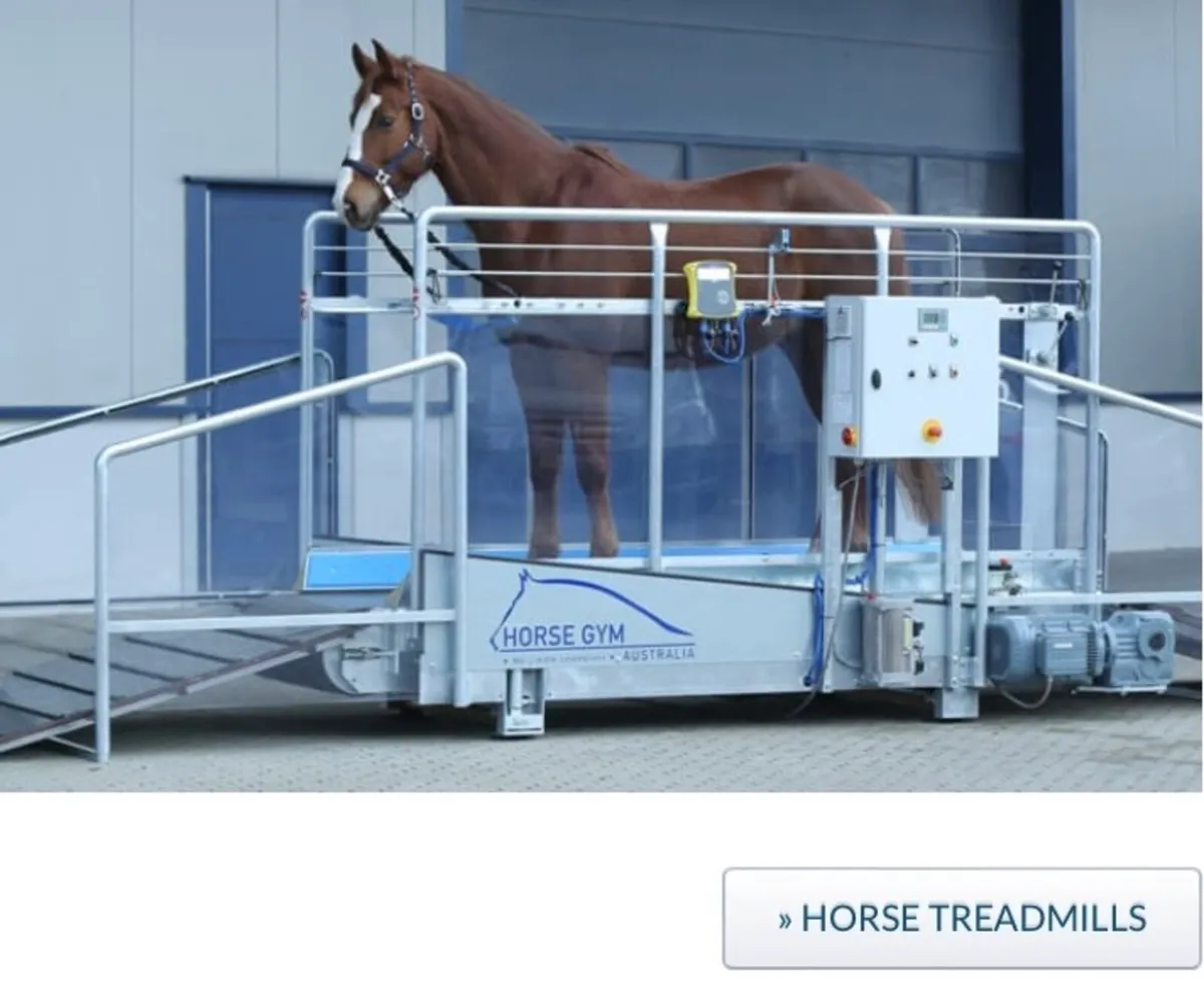 Horse treadmills, Spa, vibratory plates and more - Image 3