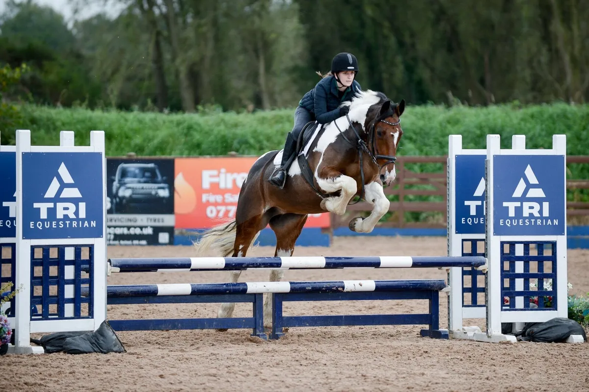 EYE-CATCHING JUMPER/ALL-ROUNDER MARE