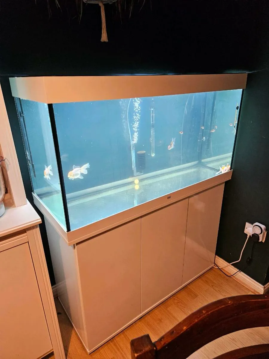 White gloss 2024 fish tank