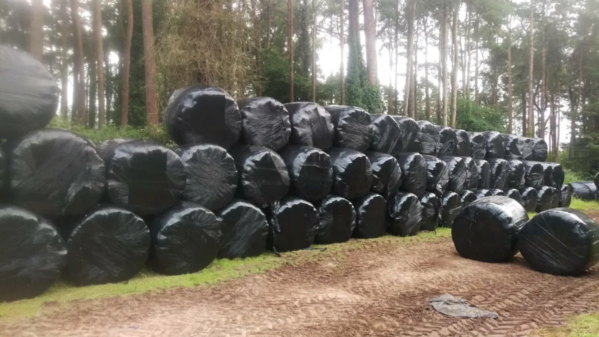 Haylage and silage for sale - Image 1