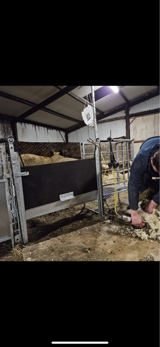 Sheep Shearing  crates - Image 2