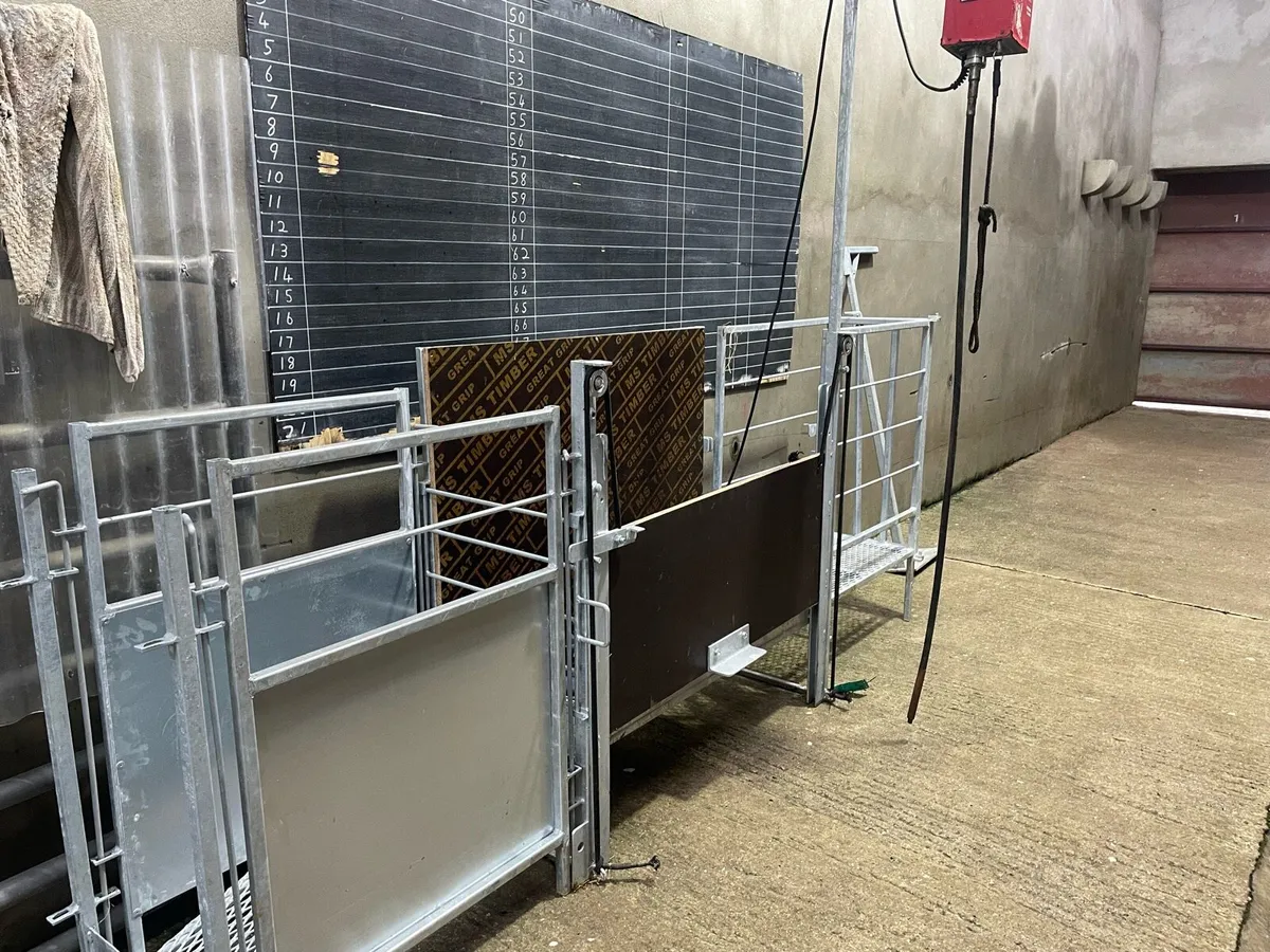 Sheep Shearing  crates - Image 1