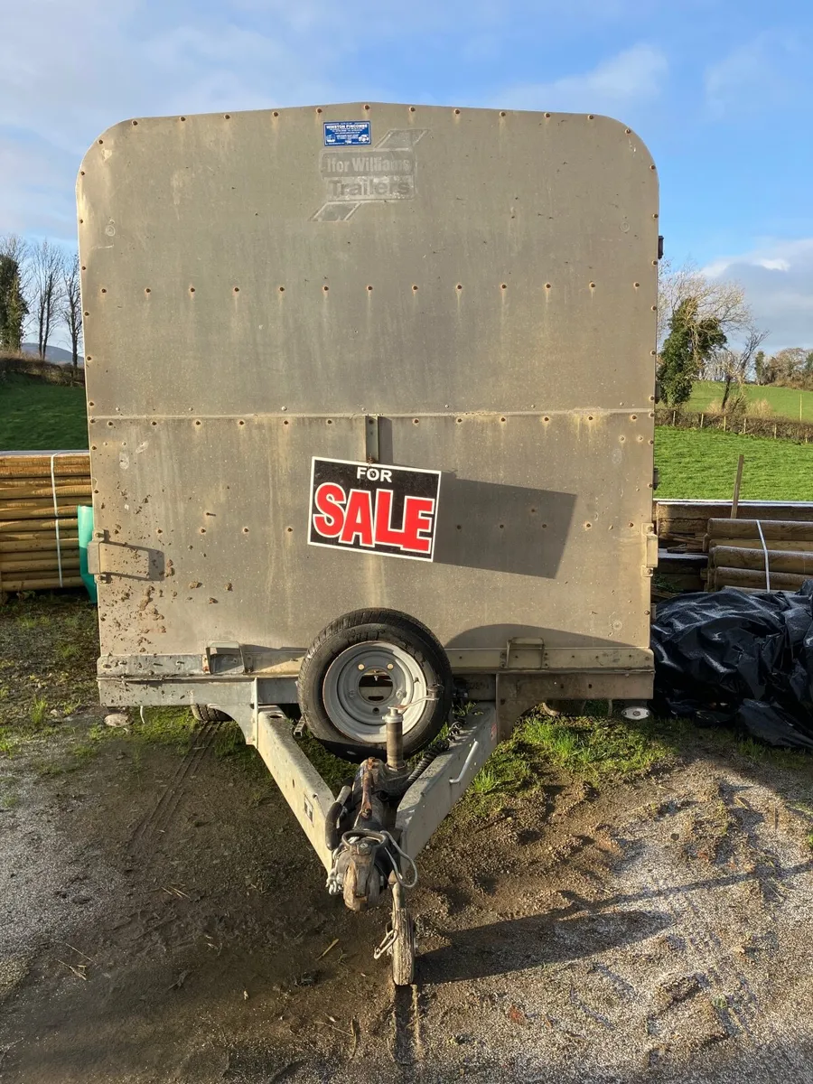 Ifor Williams 12x6 tandem axle cattle trailer