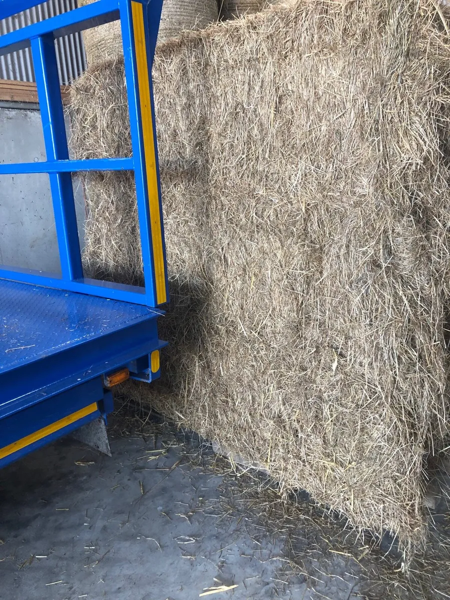 TOP QUALITY HORSE HAY + STRAW - Image 4