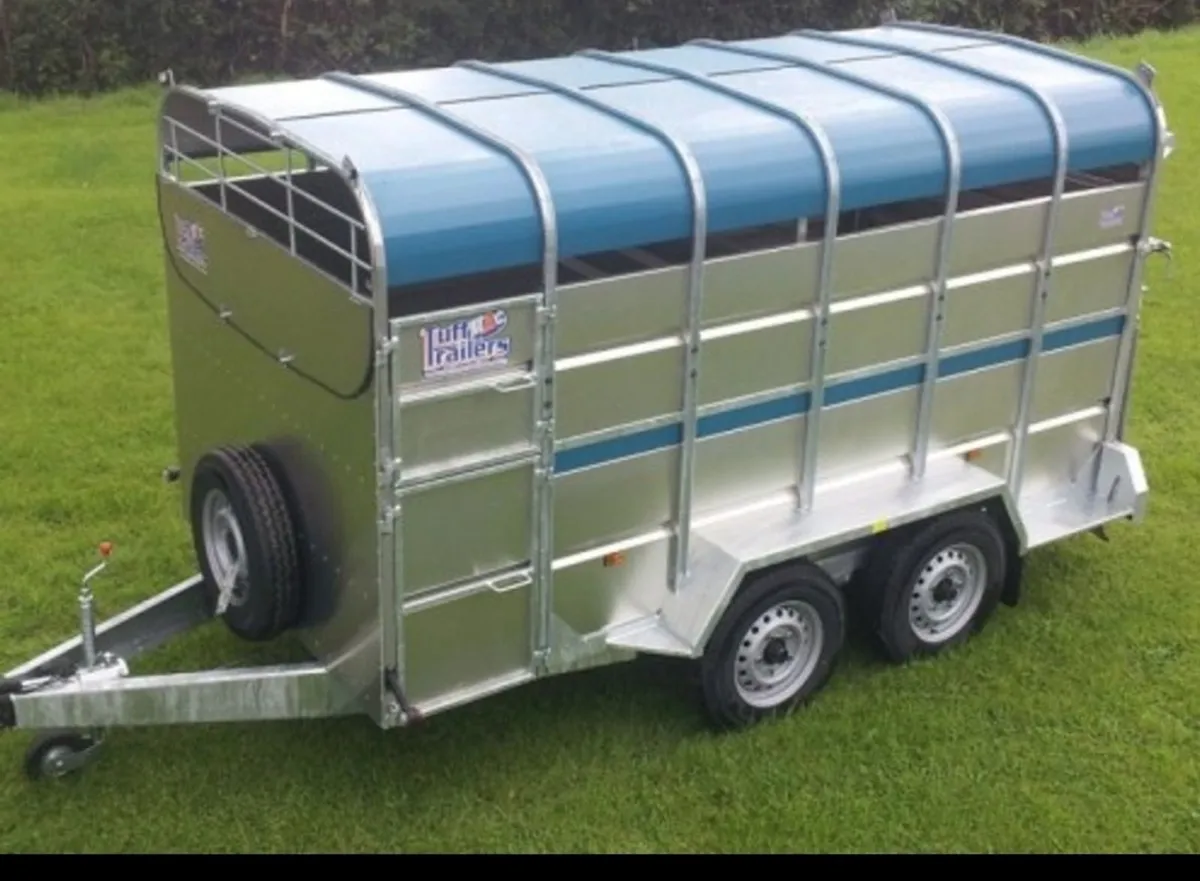 Tuffmac cattle trailers like ifor Williams