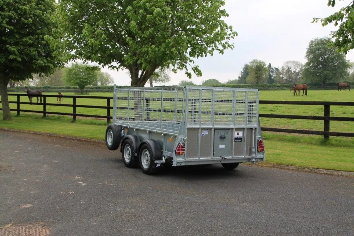 New GD105 2'' x 5'2'' Ifor Williams Trailer - Image 3