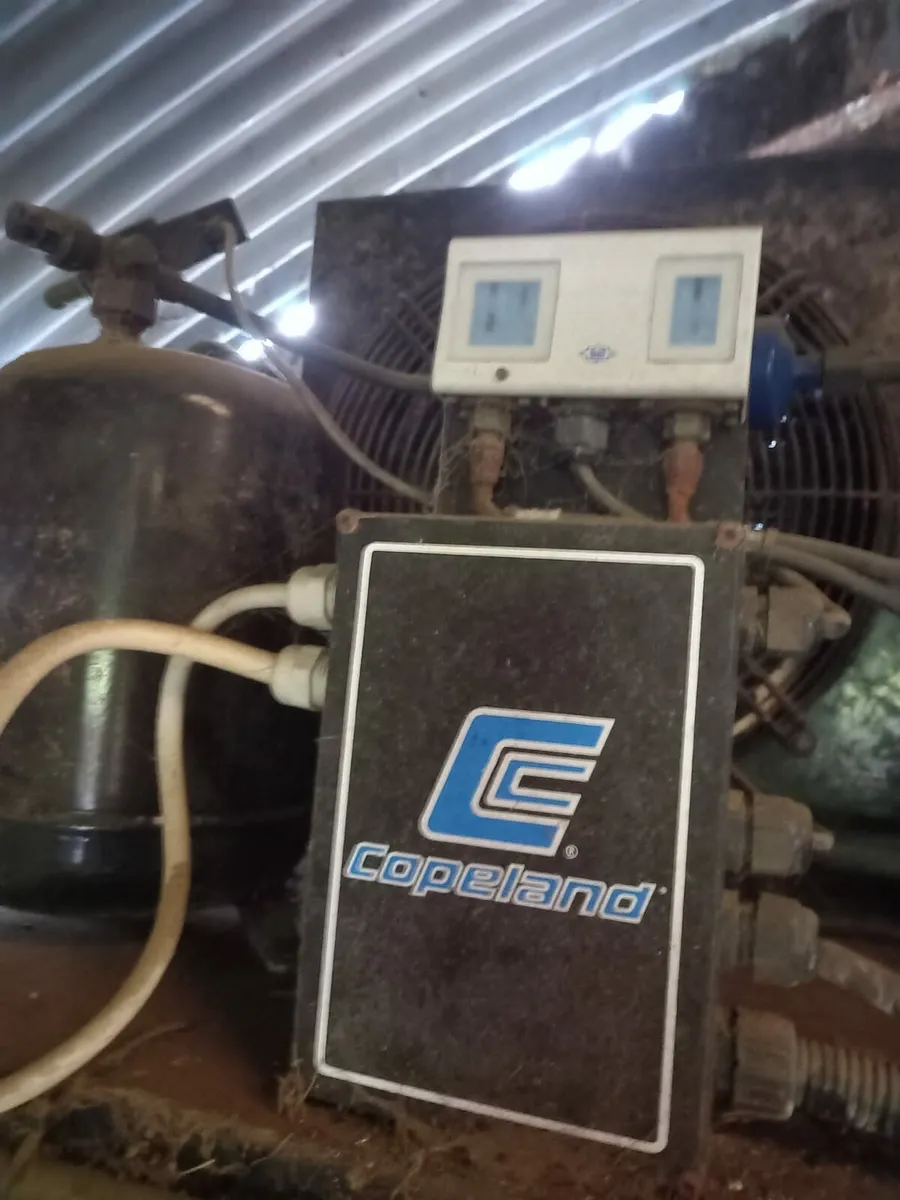 6200 Litre packo milk tank direct expansion for sale in Co. Laois for €