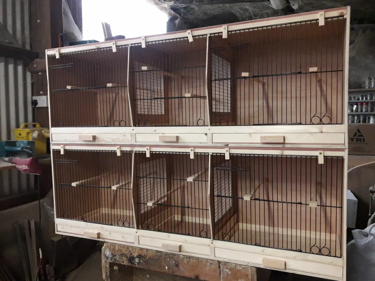 Bird cage's / nest box's . - Image 1