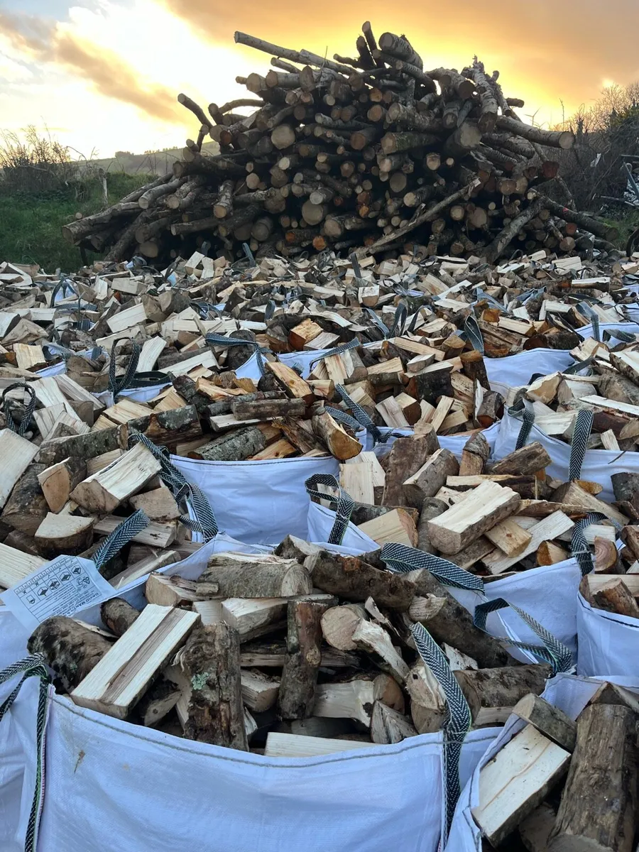 Firewood - Image 1