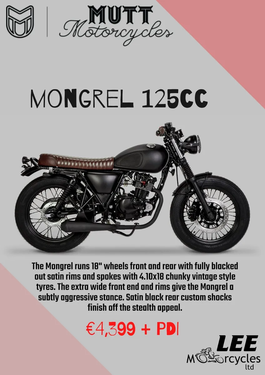 MUTT Motorcycles now in stock! - Image 3