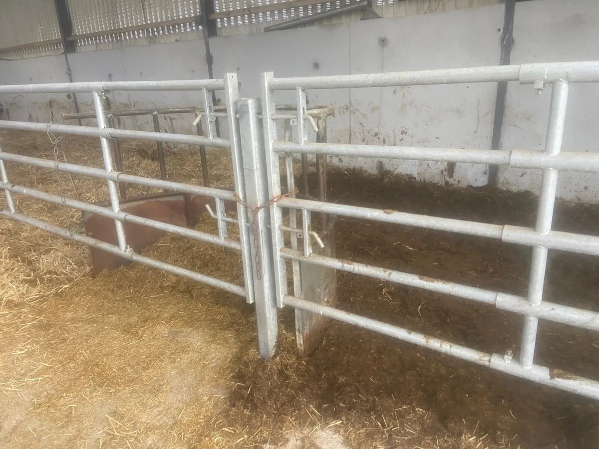 Sheepherders, gates and barriers - Image 4