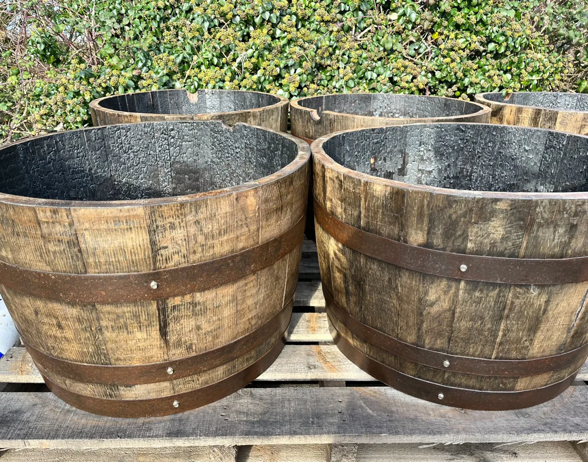 Oak barrel planters, large planters , full barrels