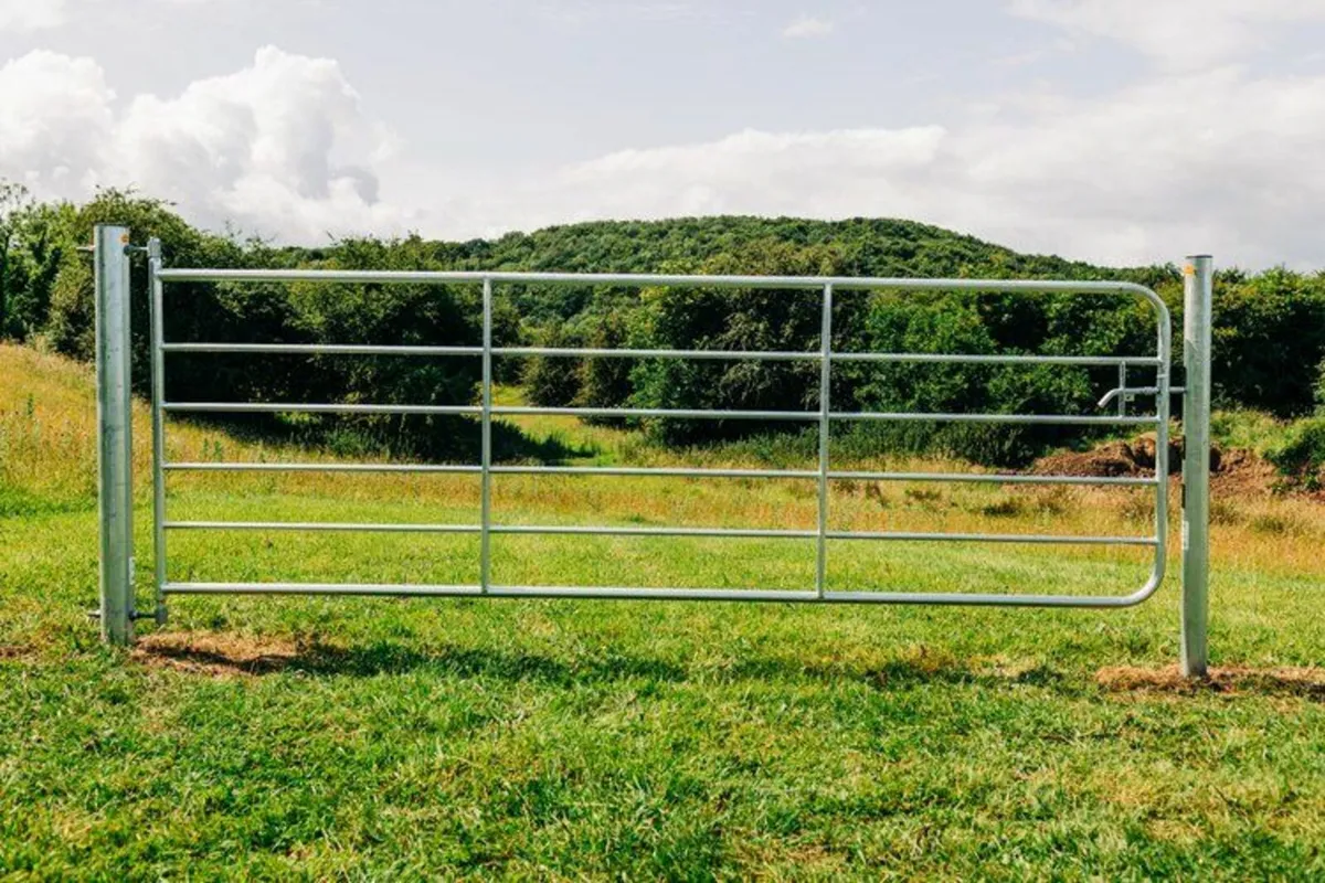 Heavy Duty Field Gates - Image 2