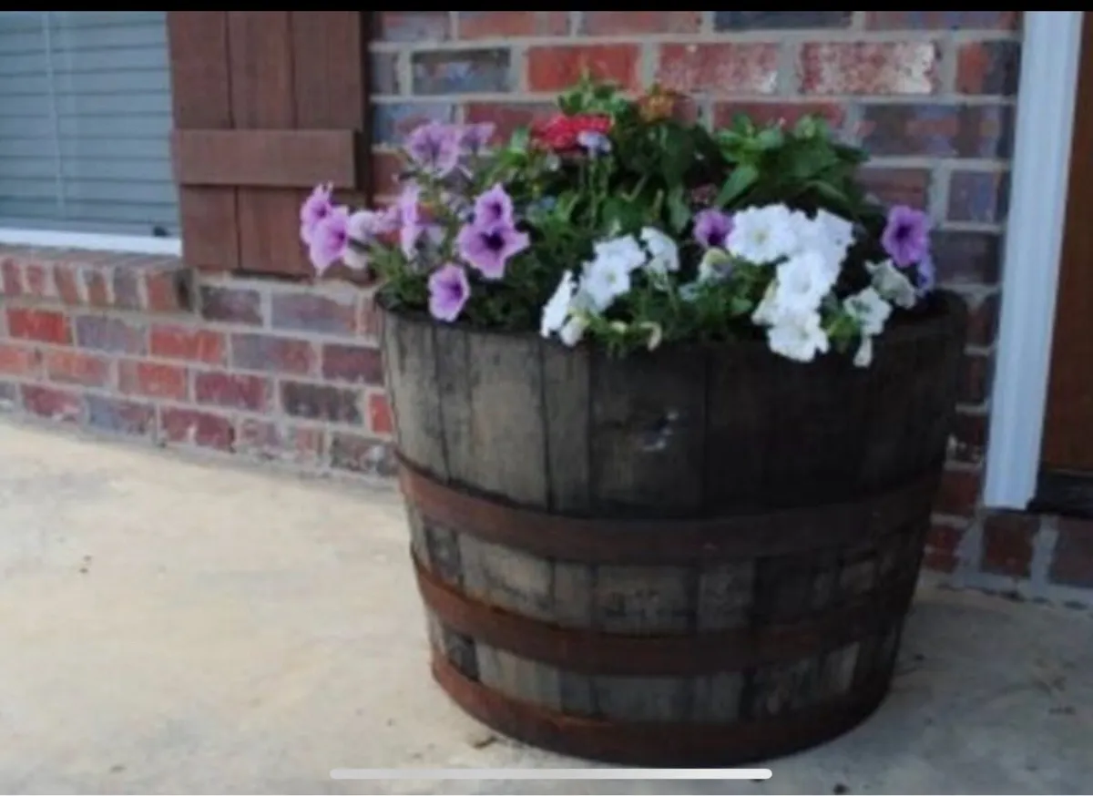 Oak whiskey barrel planters - Image 1