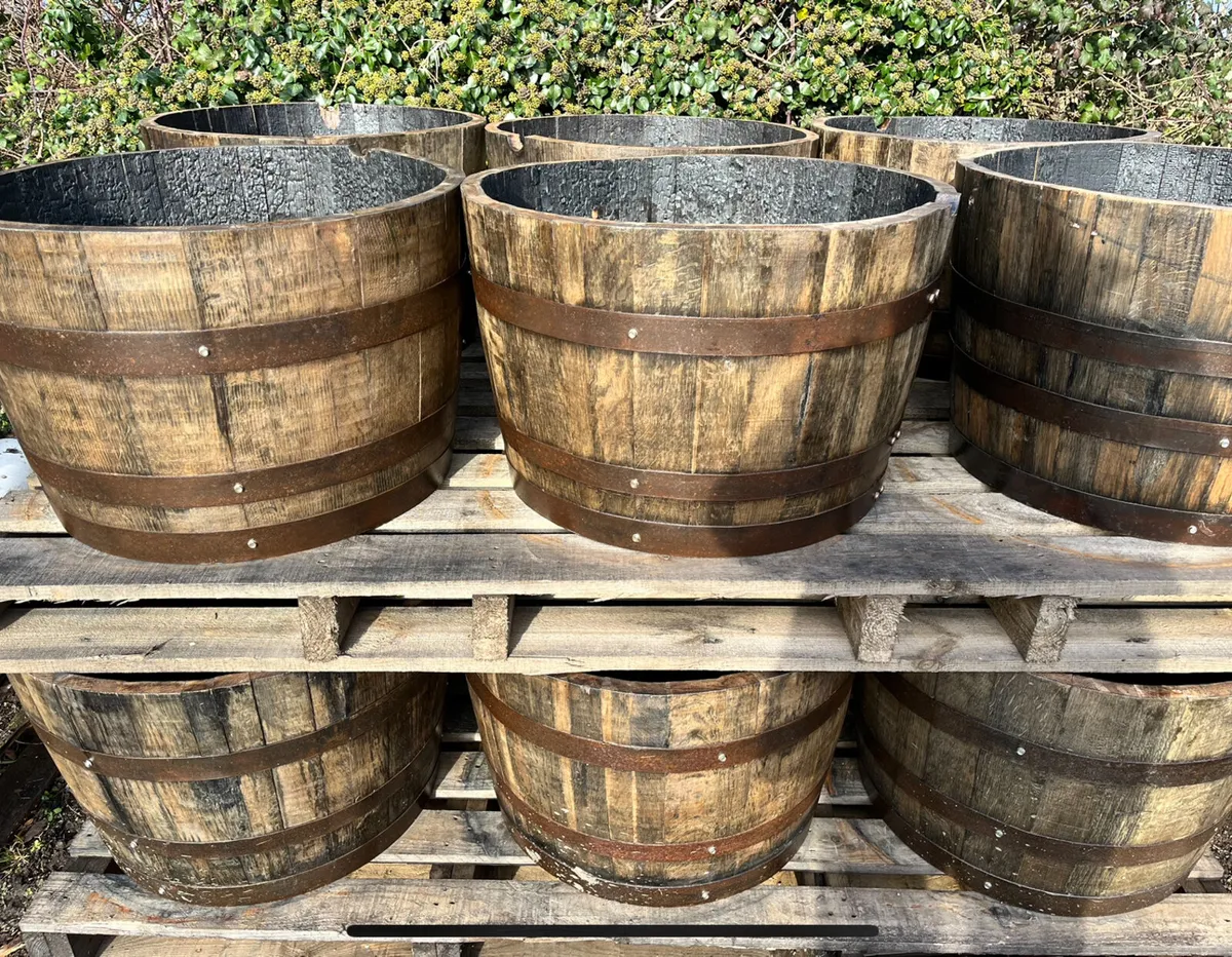 Oak whiskey barrel planters - Image 4