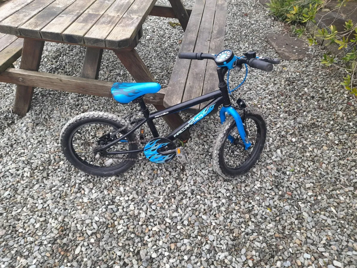 Blue bikes hot sale for sale