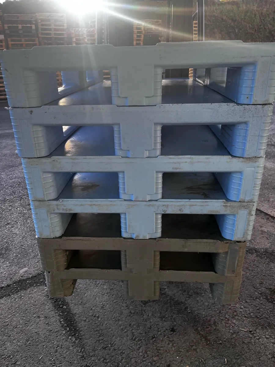 Plastic Pallets - Image 2