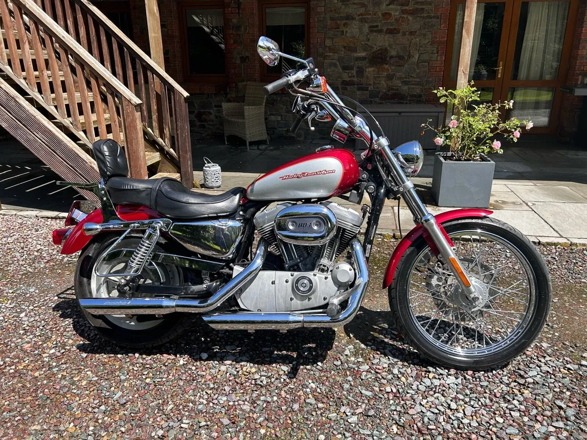 2005 harley davidson sportster store 883 for sale