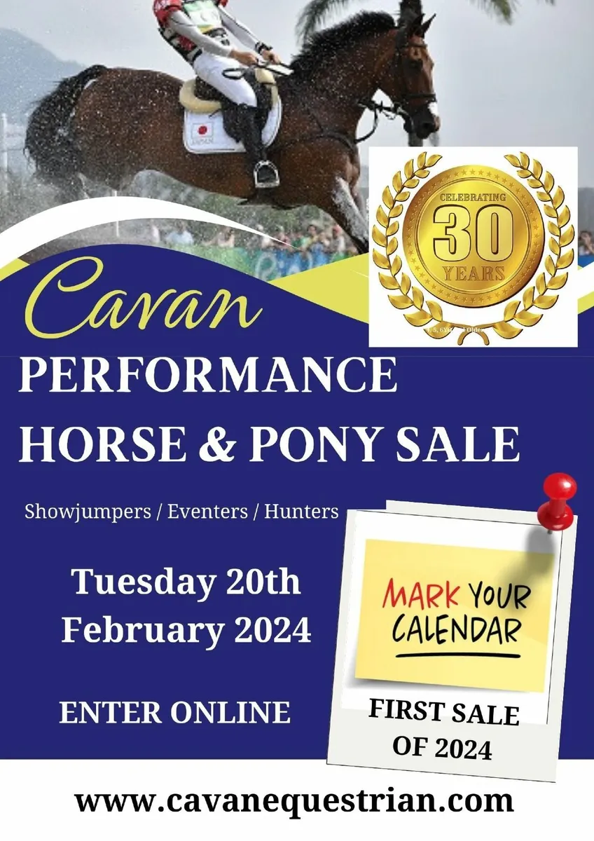 Cavan Horse & Pony Sale for sale in Co. Cavan for €0 on DoneDeal
