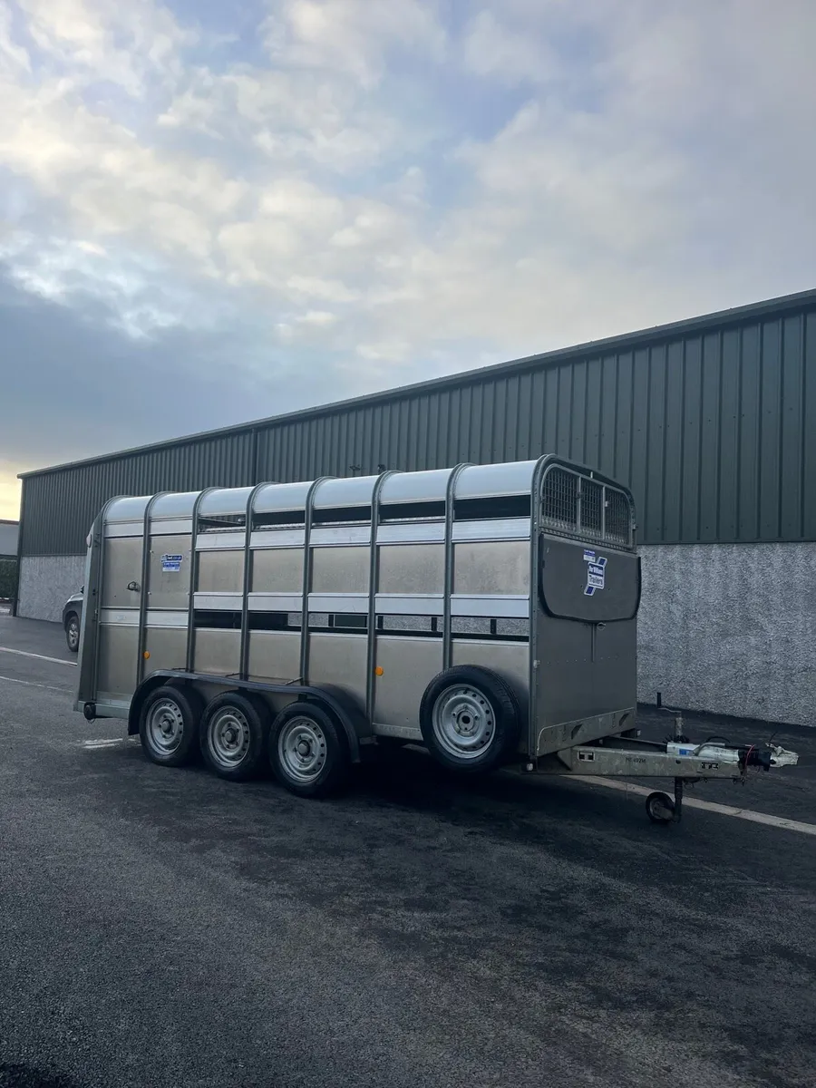 Ifor Williams 14/6 Cattle Trailer