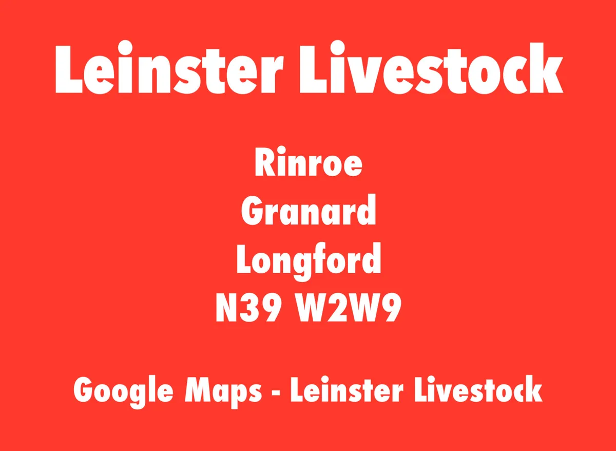 Leinster Livestock - Image 2