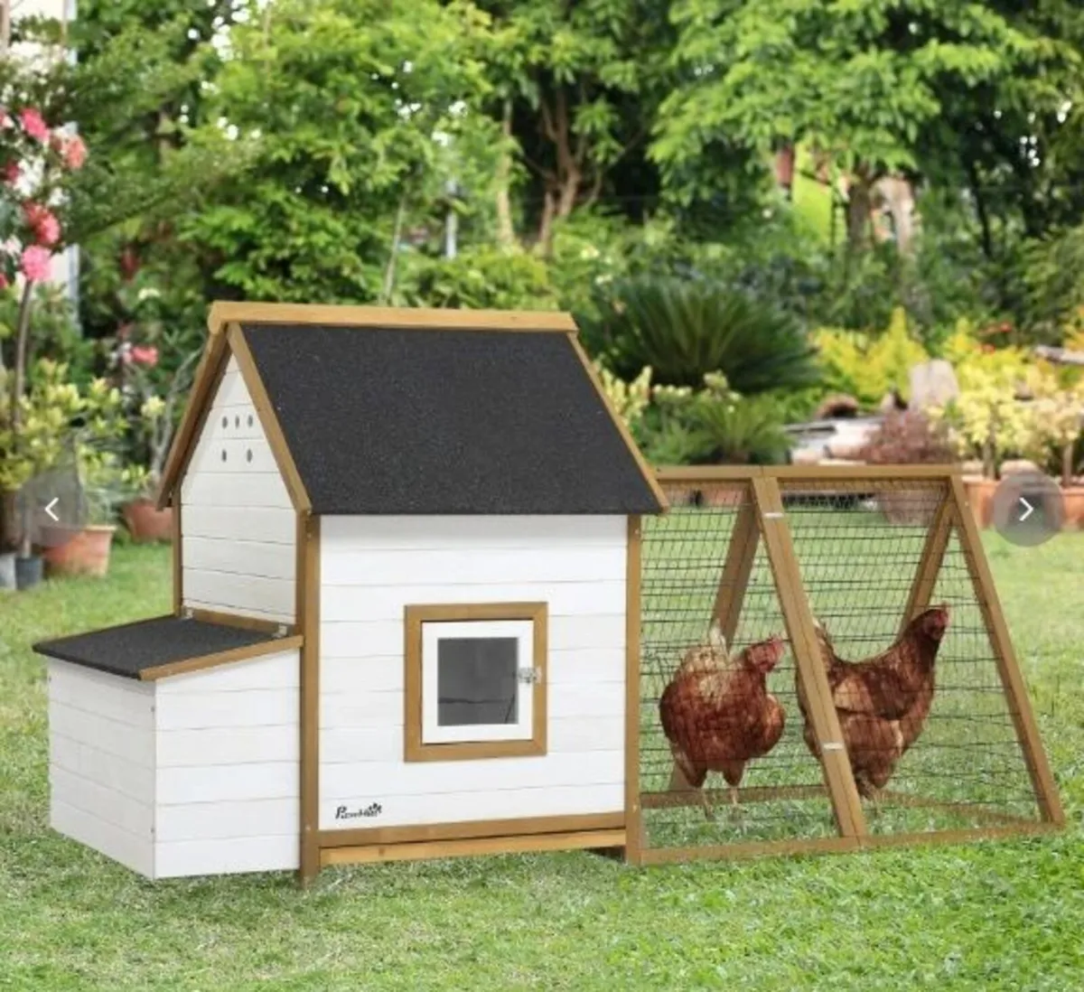 CHICKEN COOP - Image 2