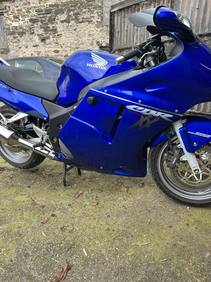 Honda blackbird deals 1200 for sale