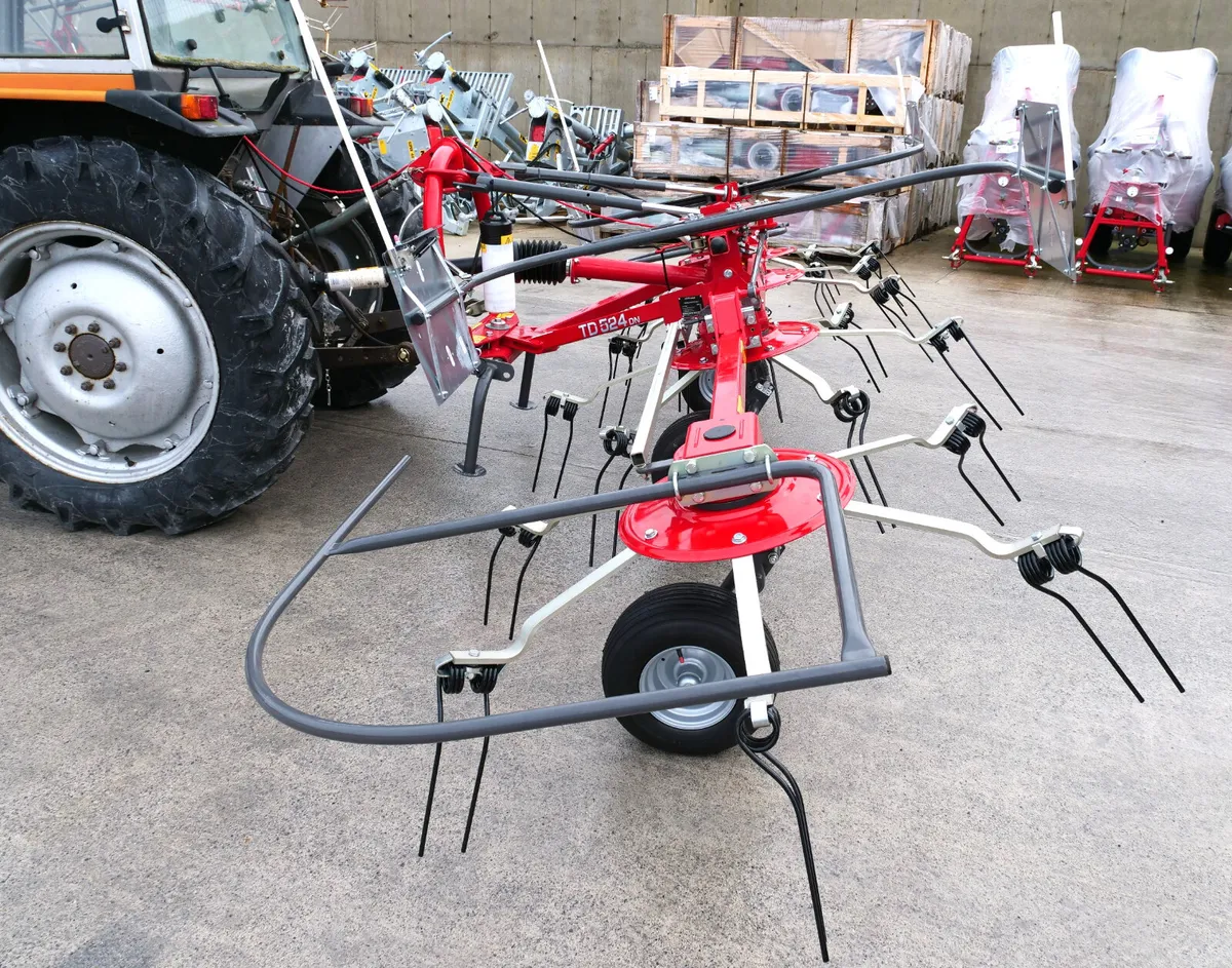 MASSEY FERGUSON 524 TEDDER - Image 3