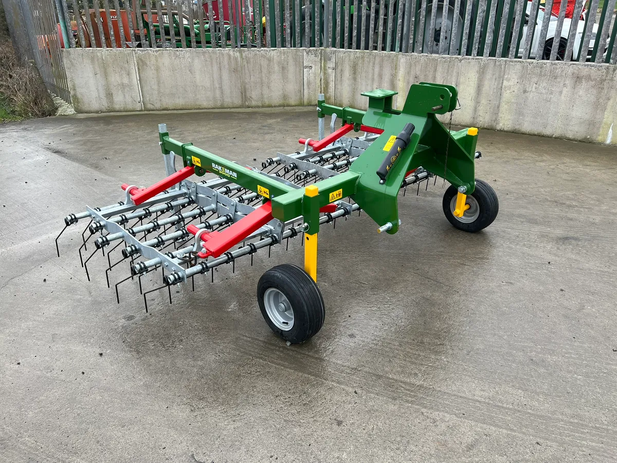 *** RAKEMAN 3000 SPRING TINE HARROW *** - Image 2