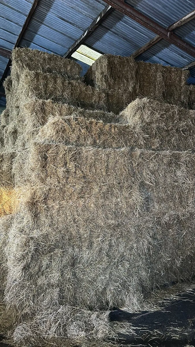 Horse Hay, Haylage, barley straw for sale in Co. Down for £1 on DoneDeal
