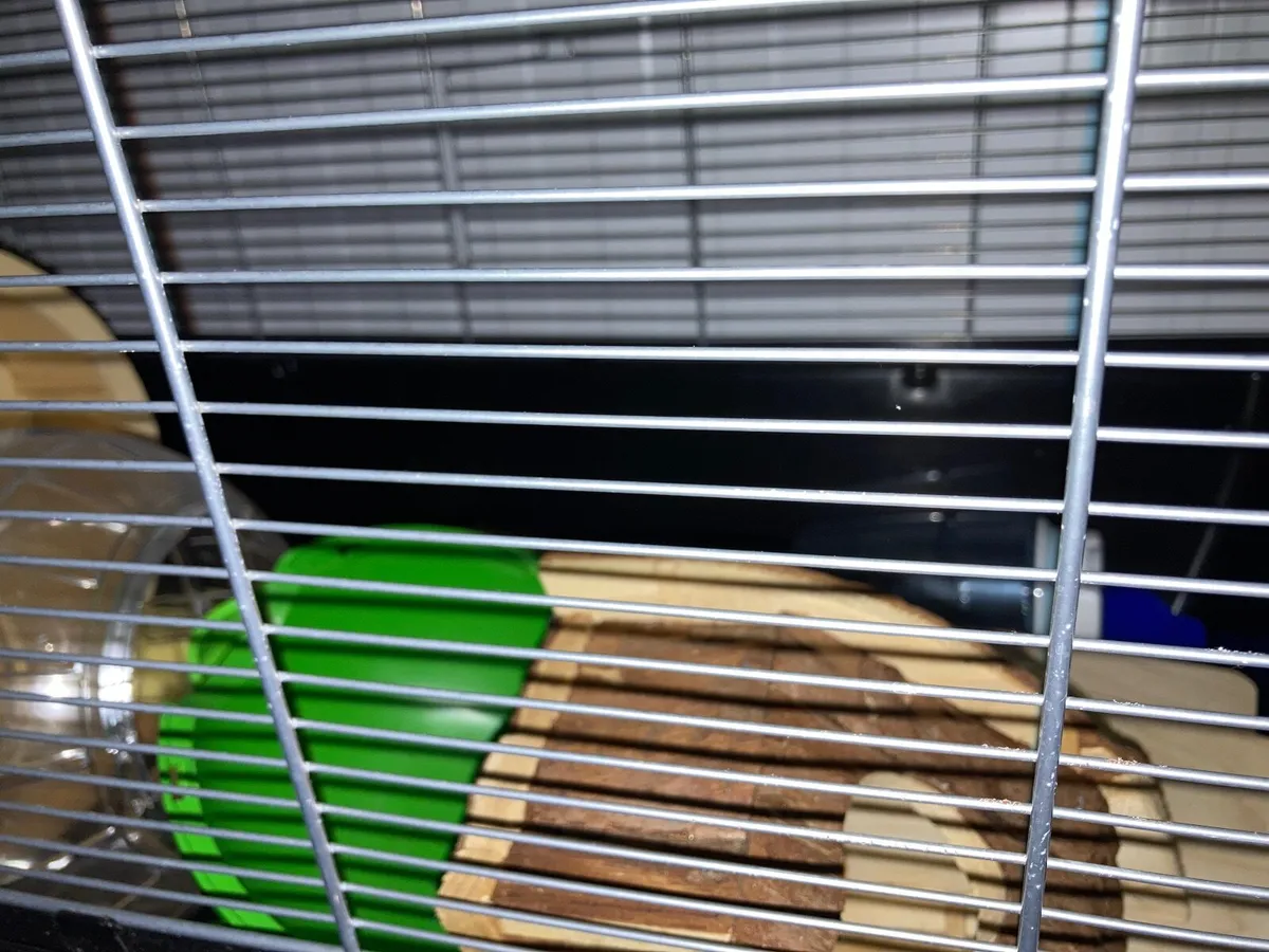 Kerry hamster outlet cage